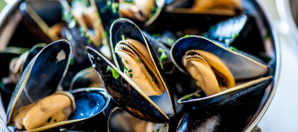 Mejillones al vapor